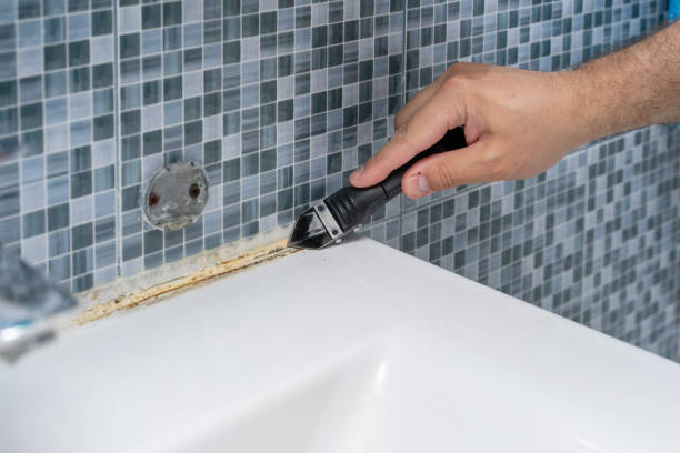 Professional Mold Removal in Everett, WA