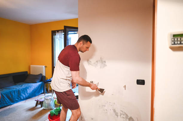 Best Mold Removal Near Me  in Everett, WA